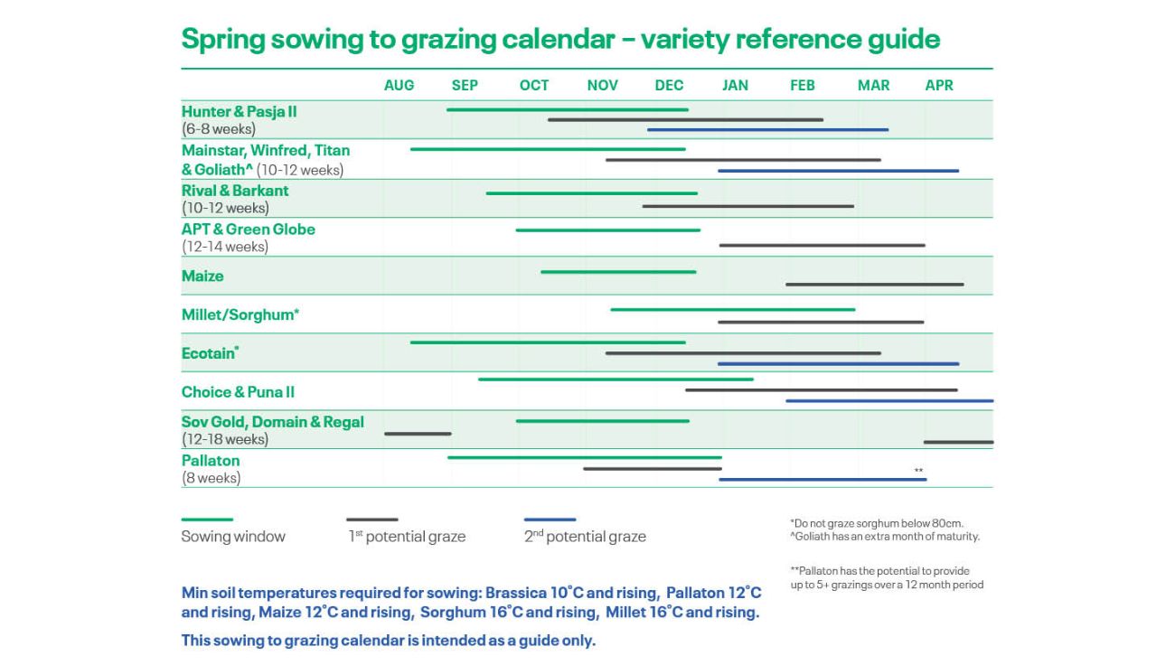 A visual guide to sowing and grazing times for DLF Seeds brassica cultivars